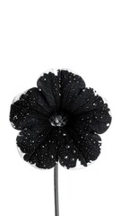 Solitary black flower with speckled edges on a slender stem, centered against a plain white background