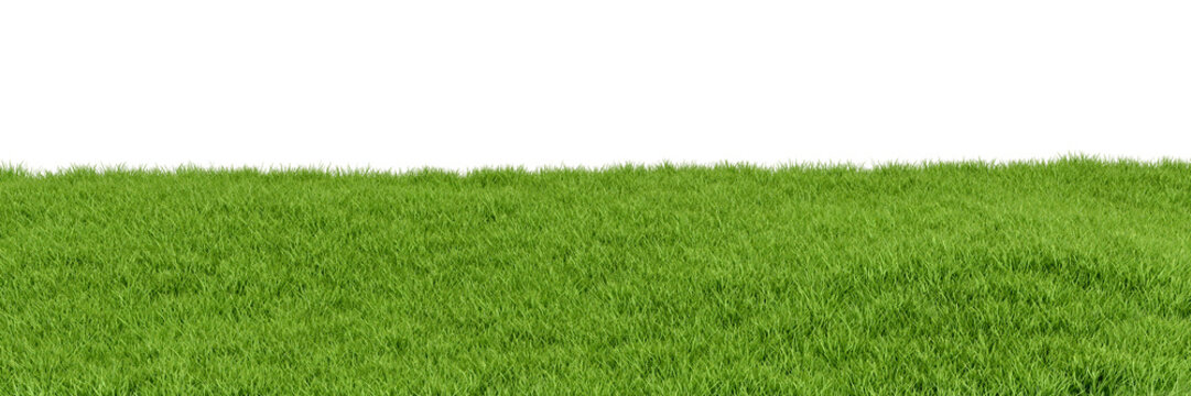 green grass field isolated on white background