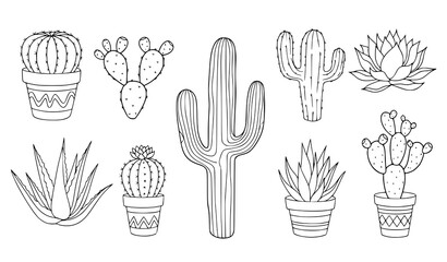 Cactus outline vector illustration set with hand drawn succulent doodle clipart © MDFiroj