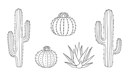 Minimal cactus outline doodle vector illustrations with succulent plant clipart © MDFiroj