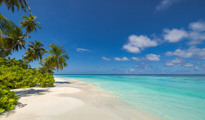 Panoramic tropical beach landscape with turquoise ocean, palm trees, white sand, sunny sky, exotic island paradise, relaxing tropical scenery, ideal for summer vacation and travel