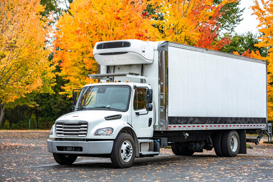 Commercial day cab middle duty white rig semi truck with refrigerated box trailer standing on the autumn parking lot take a break
