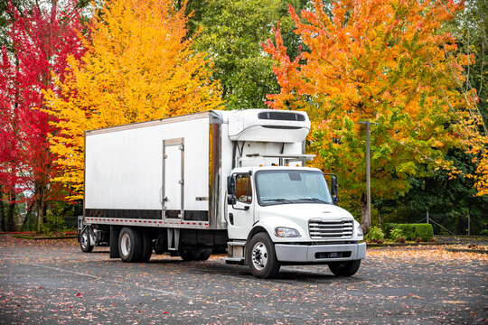 Industrial grade day cab middle duty rig semi truck with refrigerated box trailer standing on the parking lot with autumn colorful trees
