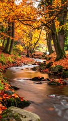 A serene forest stream with vibrant autumn foliage