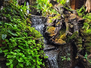 Fototapeta premium Small waterfall flowing through lush tropical plants, perfect for nature and relaxation themes