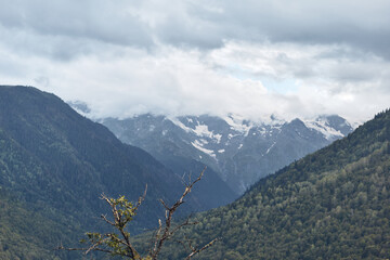 Snow capped mountain landscape with lush green valleys under a cloudy sky, conveying a dramatic and serene natural scene suitable for travel and nature themes.
