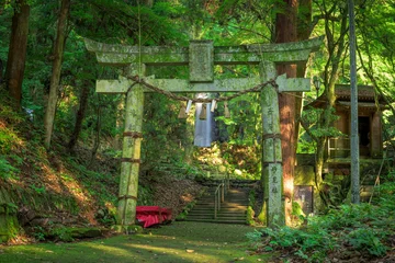Selbstklebende Fototapeten Torii Tore 森林浴(観光スポット)(鳥居) 「自然が描いた新緑と水のシンフォニー木漏れ日きらめく春の涼景」 西原村(白糸の滝) Forest Bathing (Tourist Spot) (Torii Gate) "A symphony of fresh greenery and water, a refreshing spring scene with sunlight filtering through   © KOROKICHIKUN