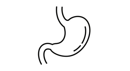 Obraz premium Simplified illustration of human stomach anatomy from a side view
