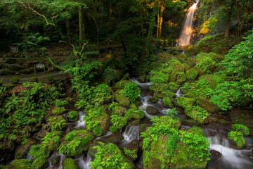 森林浴(観光スポット)
「自然が描いた新緑と水のシンフォニー木漏れ日きらめく春の涼景」
西原村(白糸の滝)
Forest Bathing (Tourist Spot)
"A symphony of fresh greenery and water, a refreshing spring scene with sunlight filtering through the trees."