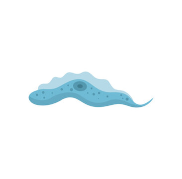 Pratozoa Parasite Trypanosoma Vector Illustration 
