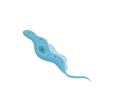 Pratozoa Parasite Trypanosoma Vector Illustration 