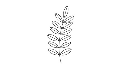 Minimalist black and white line drawing of a small feathered leaf branch with multiple oval leaflets.
