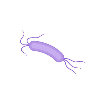 Flagella Bacteria Vector Illustration 