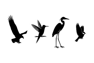 Naklejka premium Vector illustration of four different birds in flight and standing with nature art, graphic design