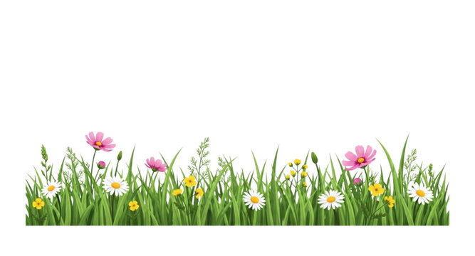 spring flowers and grass