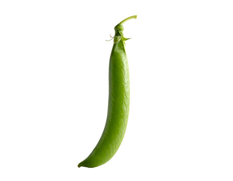 A single, vibrant green pea pod rests against a stark black background