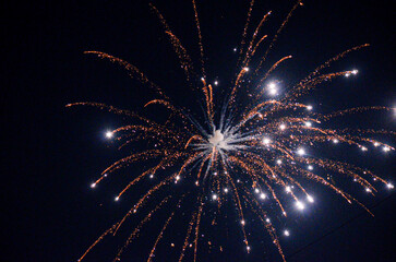 Fototapeta premium Fireworks in the night sky