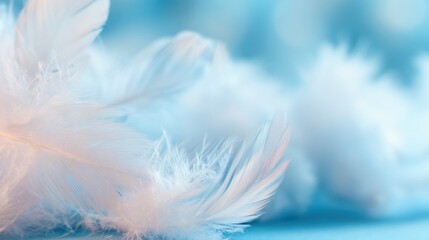 Fototapeta premium Soft white feathers scattered on a light blue surface in natural light