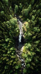 Fototapeta premium Aerial view captures turbulent water cascading down a narrow channel surrounded by dense woodland