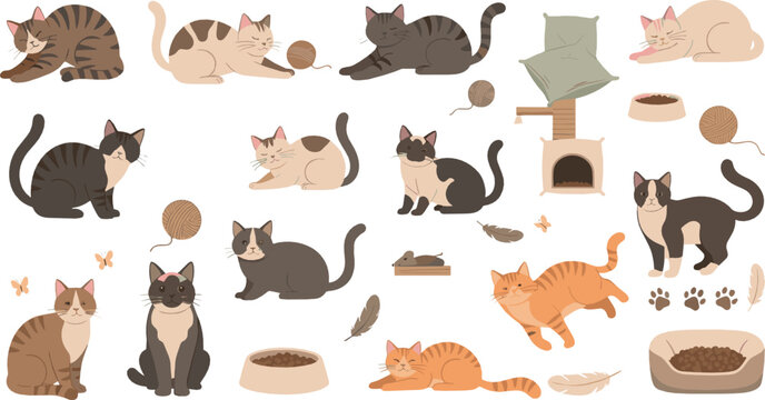 Cute cat behavior and activity vector set with sleeping, playing, grooming, scratching, toys, bowls, and cartoon feline lifestyle illustrations