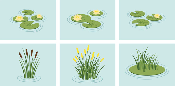 Pond aquatic plants vector set with water lilies, reeds, cattails and marsh grass