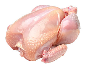 Raw, uncooked poultry, whole bird with skin, ready for preparation and cooking