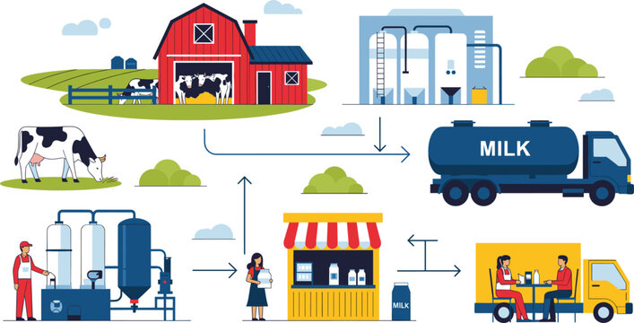 Milk production process vector infographic showing dairy farm processing packaging distribution and delivery workflow isolated