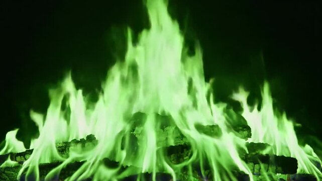 A vibrant green flame rising dramatically against a dark background.