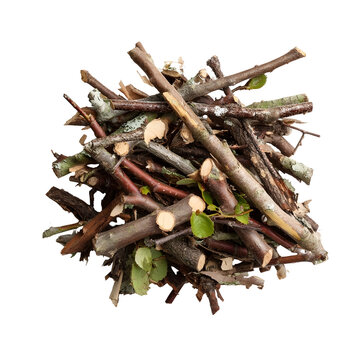 A pile of natural twigs and branches with some green leaves isolated on a clean white background showcasing organic texture and detail