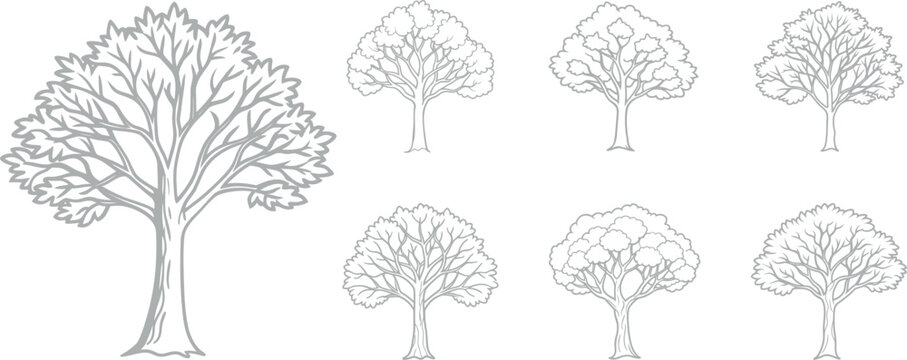 Collection of seven trees with varied leafy canopies