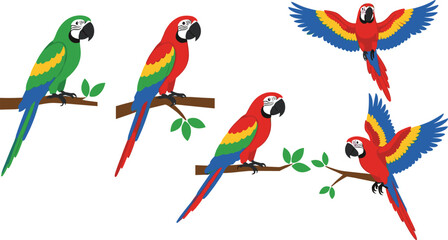 Colorful macaw parrot set with sitting and flying tropical birds on branches in bright flat vector illustration style © Kharshad Creative