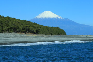 三保松原から見る富士山