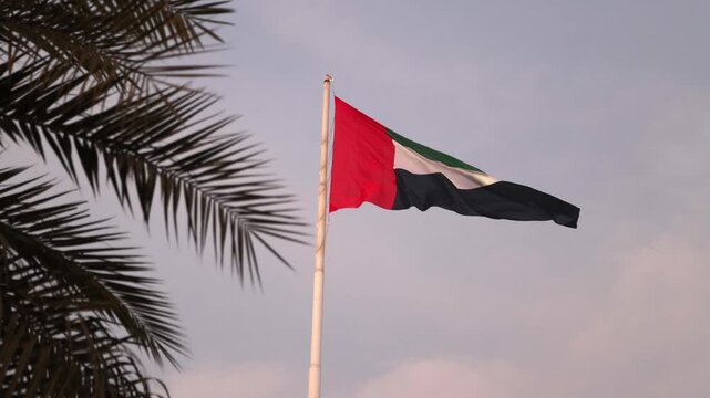 UAE flag waving in the sky next to the palm tree, national symbol of UAE