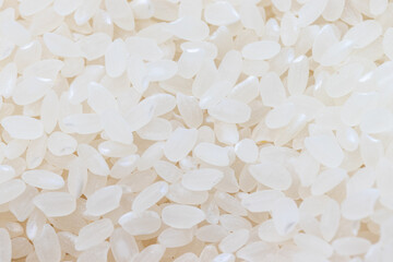 白い米粒の質感