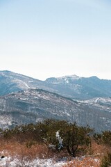 Fototapeta premium Snow-covered winter landscape of Ganwolsan Mountain, South Korea, featuring frozen ridgelines, alpine trails, and pine trees under a clear blue sky.