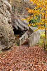 wooden bridge in nature