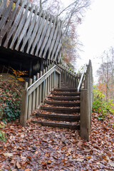 wooden bridge in nature