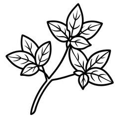 Oregano line art vector
