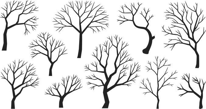Set of Dead Tree Silhouettes, Vector Collection of Bare Leafless Branches and Trunks Isolated on illustration