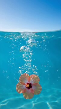 Serene hibiscus flower floating on water in a split-level shot