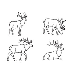 Fototapeta premium Deer in various poses line art illustrations