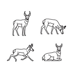  Deer in various poses line art illustrations