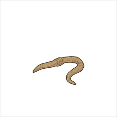 Obraz premium worm sketch drawing artwork handmade illustration