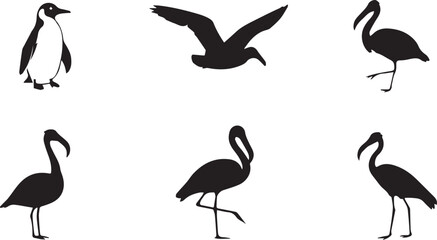 Silhouette of a flamingo standing with its head gracefully curved © Md Al Amin Khondokar