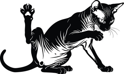 Playful cat stretching with raised paw in dynamic pose