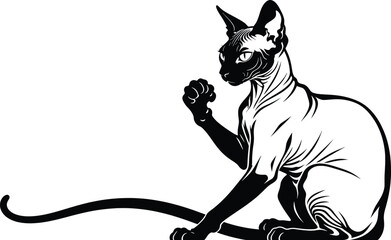 Sphynx cat sitting elegantly with raised paw in modern style