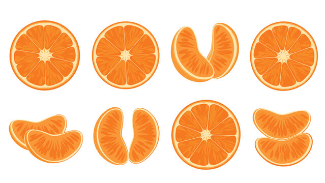 Detailed collection of fresh orange fruit slices and individual segments showing juicy pulp and texture on a white background.