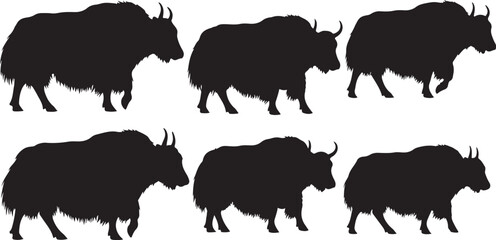 Fototapeta premium Set of bison silhouettes walking in different positions slowly