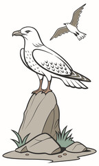 Seagulls on Rocks Coastal Birds in Natural Habitat Illustration.