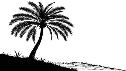 Silhouette of a Palm Tree on a Hillside 1.
